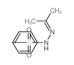 Hydrazone BSG structure