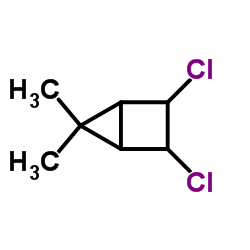 Bicyclo[2.1.0]pentane, 2,3-dichloro-5,5-dimethyl- (9CI)结构式