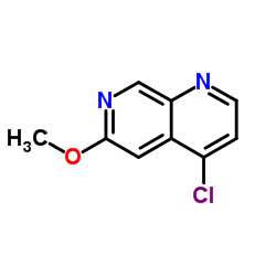 4-Chloro-6-methoxy-1,7-naphthyridine structure