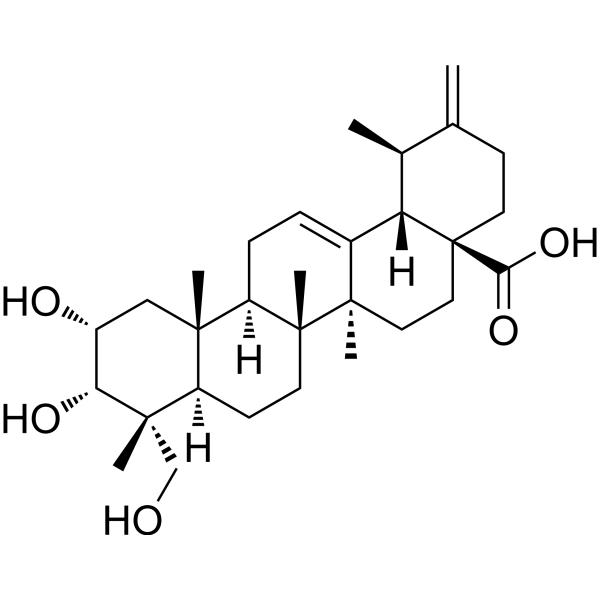 2a,3a,23-三羟基-12,20(30)-二烯-28-酸图片