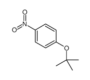 1-TERT-BUTOXY-4-NITROBENZENE picture