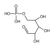 (2,3,4-trihydroxy-5-oxo-pentoxy)phosphonic acid结构式