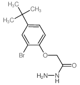 52570-06-6 structure