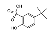 5-tert-butyl-2-hydroxy-benzenesulfonic acid Structure