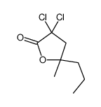 3,3-dichloro-5-methyl-5-propyloxolan-2-one Structure