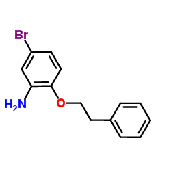 5-Bromo-2-(2-phenylethoxy)aniline Structure