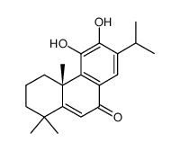 salvinolone picture