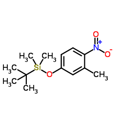 Dimethyl(3-methyl-4-nitrophenoxy)(2-methyl-2-propanyl)silane Structure