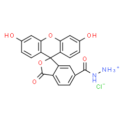 FAM hydrazide 6-isomer picture