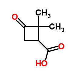 YEASTFOLATEPOLYGLUTAMATE Structure