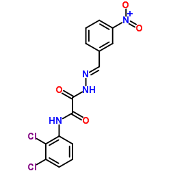 N-(2,3-Dichlorophenyl)-2-[(2E)-2-(3-nitrobenzylidene)hydrazino]-2-oxoacetamide Structure