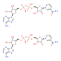 NAD dimers structure