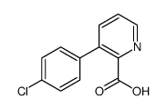 3-(4-CHLOROPHENYL)PICOLINIC ACID picture