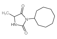 3-cyclooctyl-5-methyl-imidazolidine-2,4-dione结构式