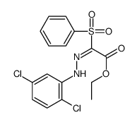 ethyl 2-(benzenesulfonyl)-2-[(2,5-dichlorophenyl)hydrazinylidene]acetate Structure