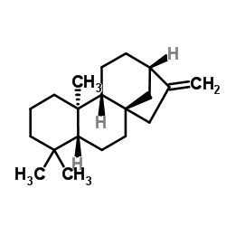 (5β,9β,10α)-Kaur-16-ene Structure