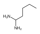 pentane-1,1-diamine结构式