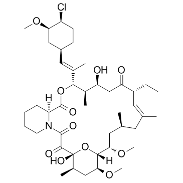 Pimecrolimus structure