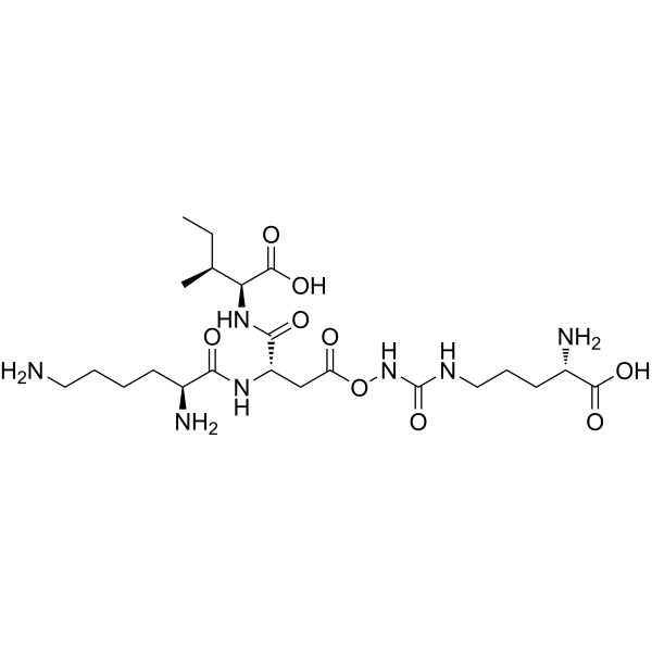 Acetyl tripeptide-30 citrulline Structure