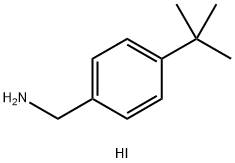 Benzenemethanamine,4-(1,1-dimethylethyl)-,hydriodide picture