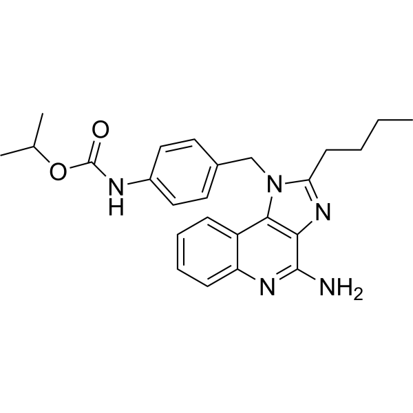 TLR7 agonist 16结构式