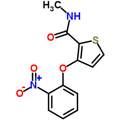 N-Methyl-3-(2-nitrophenoxy)-2-thiophenecarboxamide Structure