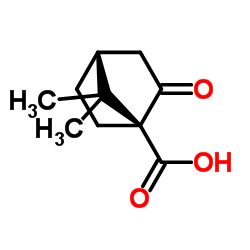 (S)-(+)-酮基蒎酸图片