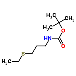 2-Methyl-2-propanyl [3-(ethylsulfanyl)propyl]carbamate Structure