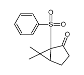 1-(benzenesulfonyl)-6,6-dimethylbicyclo[3.1.0]hexan-2-one Structure