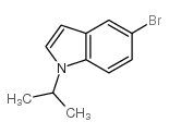 5-BROMO-1-ISOPROPYL-1H-INDOLE Structure