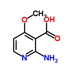 2-氨基-4-甲氧基-3-吡啶羧酸结构式