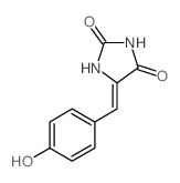 (5Z)-5-[(4-hydroxyphenyl)methylidene]imidazolidine-2,4-dione structure