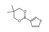 3-噻吩硼酸新戊二醇酯图片