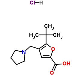 5-(2-Methyl-2-propanyl)-4-(1-pyrrolidinylmethyl)-2-furoic acid hydrochloride (1:1)结构式