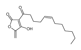 agglomerin B structure