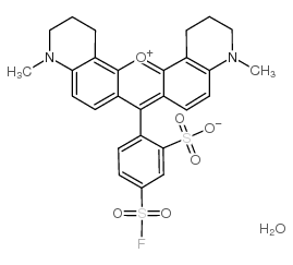 130689-24-6 structure