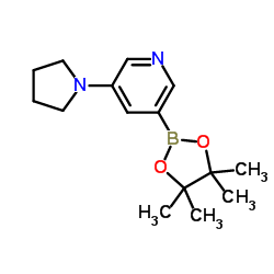 3-(1-Pyrrolidinyl)-5-(4,4,5,5-tetramethyl-1,3,2-dioxaborolan-2-yl)pyridine Structure