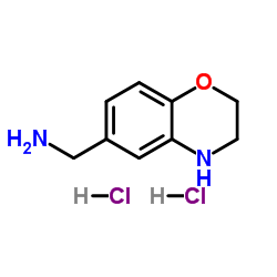 1-(3,4-Dihydro-2H-1,4-benzoxazin-6-yl)methanamine dihydrochloride Structure