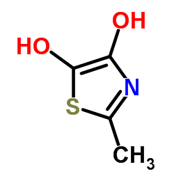 4,5-Thiazolediol,2-methyl- picture