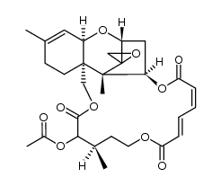 3206-21-1 structure