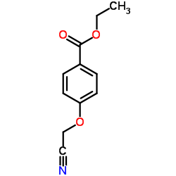 501662-75-5 structure