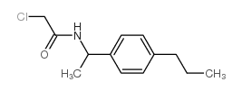 2-chloro-N-[1-(4-propylphenyl)ethyl]acetamide structure