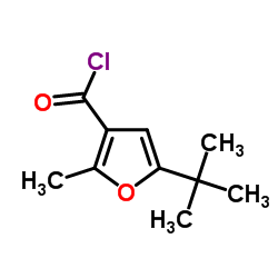 5-tert-Butyl-2-methyl-3-furoyl chloride structure