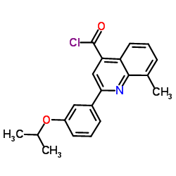 2-(3-Isopropoxyphenyl)-8-methyl-4-quinolinecarbonyl chloride结构式