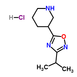 3-(3-Isopropyl-1,2,4-oxadiazol-5-yl)piperidine hydrochloride (1:1) picture