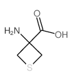 3-氨基硫杂环丁烷-3-甲酸结构式