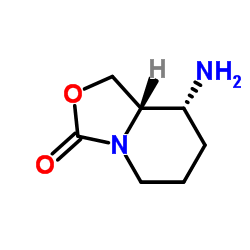 (8R,8aS)-8-Aminohexahydro[1,3]oxazolo[3,4-a]pyridin-3-one结构式