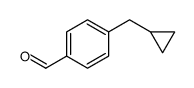 Benzaldehyde, 4-(cyclopropylmethyl)- (9CI)结构式