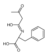 (2S)-2-(3-oxobutanoylamino)-3-phenylpropanoic acid Structure