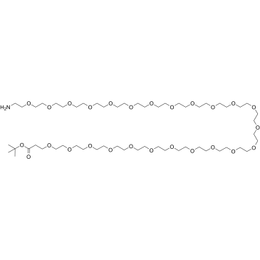 H2N-PEG24-CH2CH2COOtBu structure